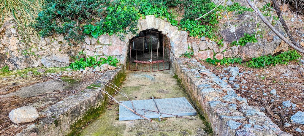 Entrada de Font des Verger rodeada de vegetación, con una estructura de piedra visible y un marco de metal en la entrada.