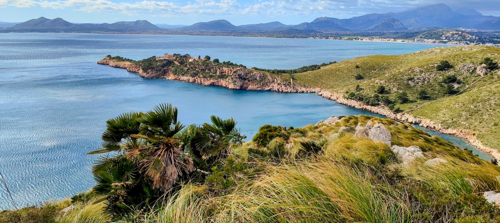 PUIG MUNT DE BLAT desde el Port de Pollença