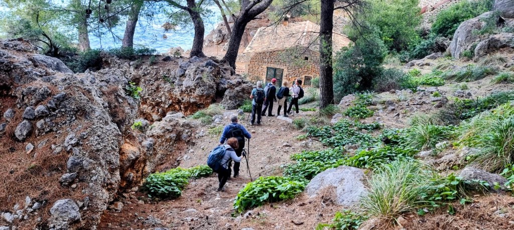 Grupo de personas caminando por un sendero natural que lleva a laantigua fábrica de electricidad de Sa Costera