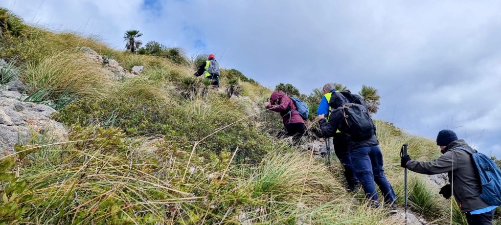 Grupo de personas caminando por una pendiente cubierta de hierba y rocas durante una excursión al aire libre.