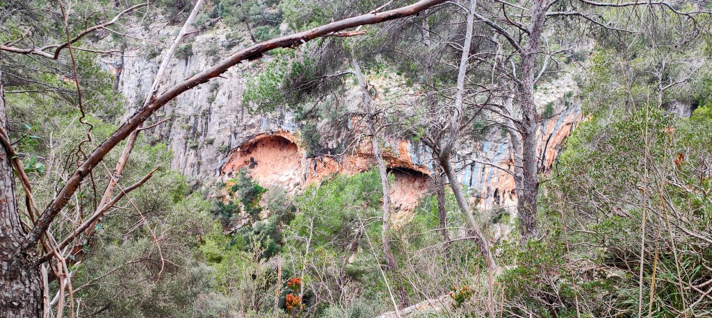 Formaciones rocosas y vegetación en un paisaje natural, con arbustos y árboles en primer plano.
