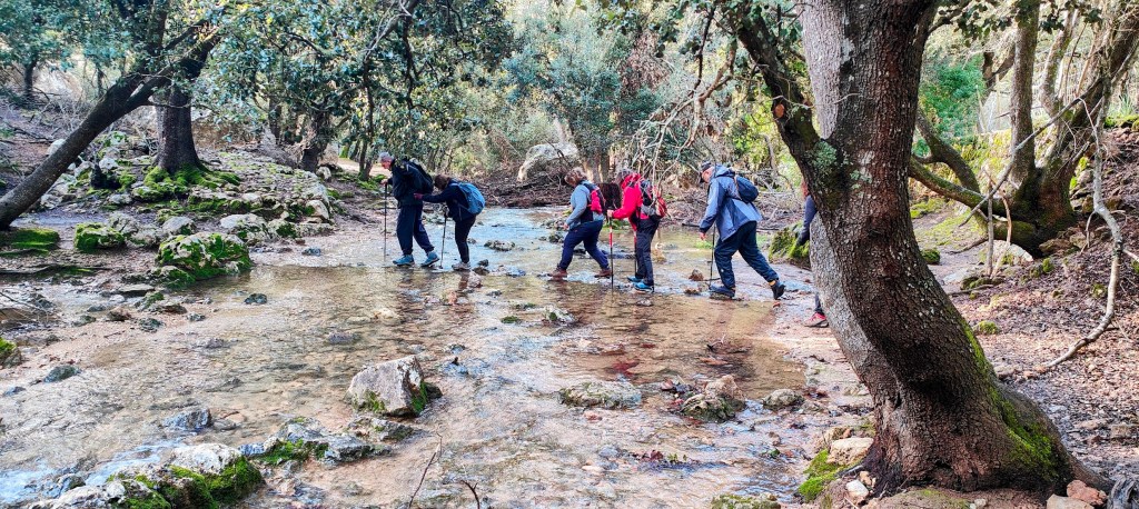 Grupo de personas cruzando el Torrent d’Orient poco profundo durante una caminata en el bosque.