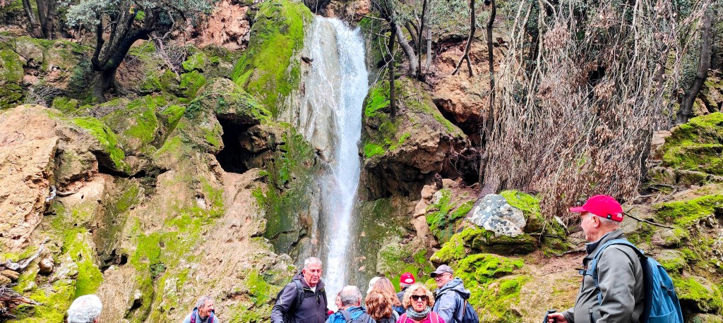 Un grupo de personas admirando una cascada en un entorno natural, rodeados de rocas y vegetación verde.