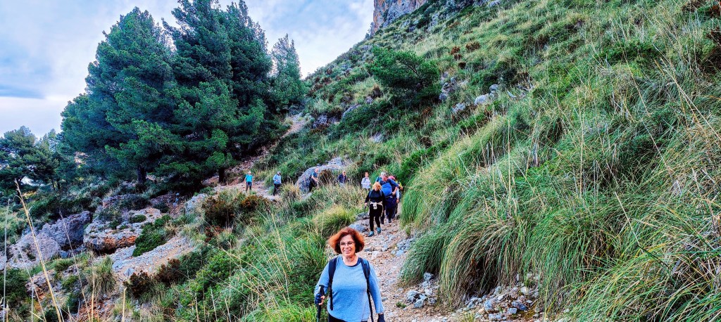 Grupo de personas caminando por un sendero montañoso rodeado de vegetación y árboles.
