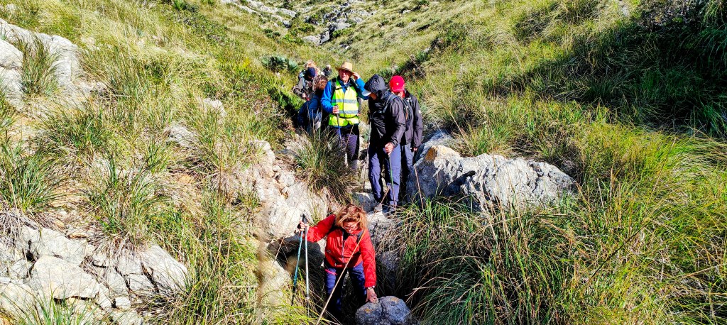 Grupo de excursionistas caminando por un sendero rocoso y cubierto de hierba en la montaña.