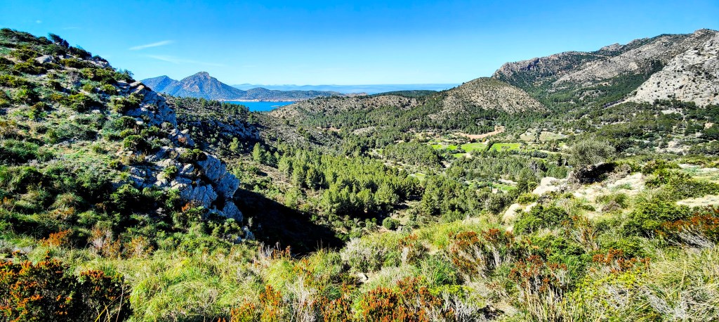 Vista panorámica de un paisaje montañoso con vegetación, incluyendo arbustos y árboles, y un lago en el fondo.