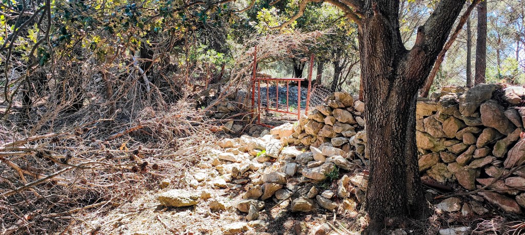 Camino entre arbustos secos y piedras, con una puerta de hierro rojo al fondo.