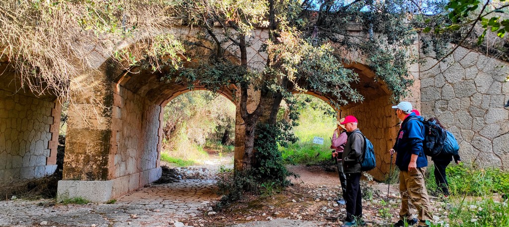 Grupo de personas explorando un antiguo puente de piedra rodeado de vegetación.