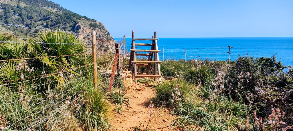 Escalera de madera frente al mar, rodeada de vegetación y un paisaje costero.