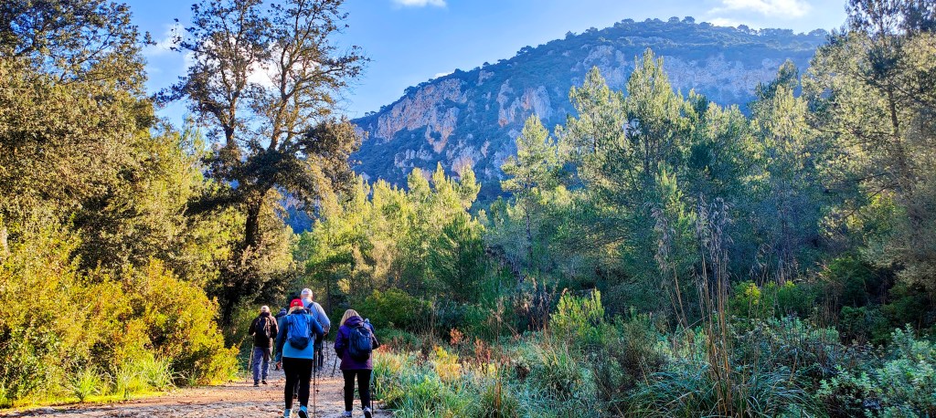 Grupo de personas caminando por un sendero rodeado de vegetación, con un gran montículo de roca al fondo.