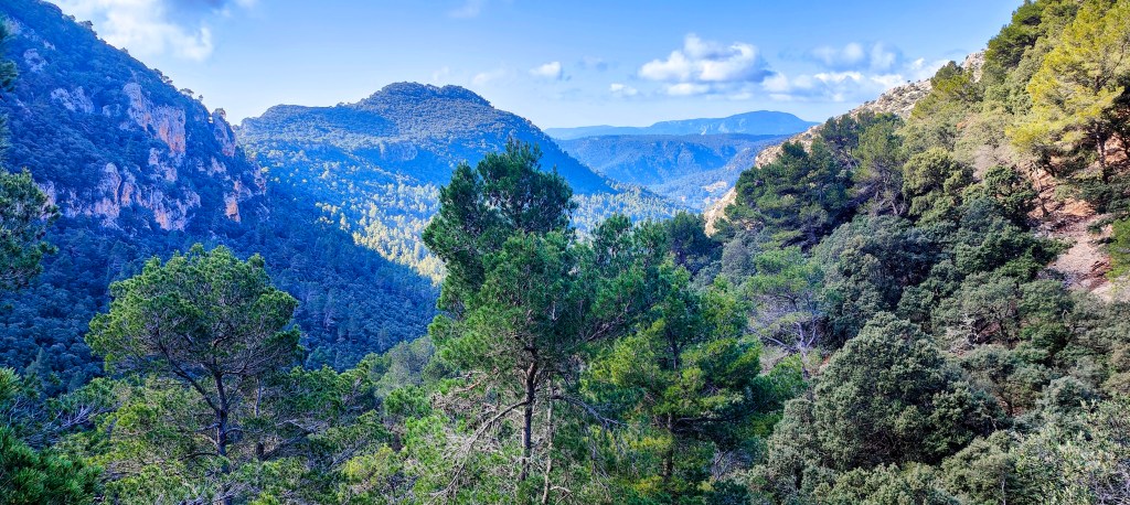 Vista panorámica de un valle montañoso con árboles frondosos, bajo un cielo azul con nubes esponjosas.