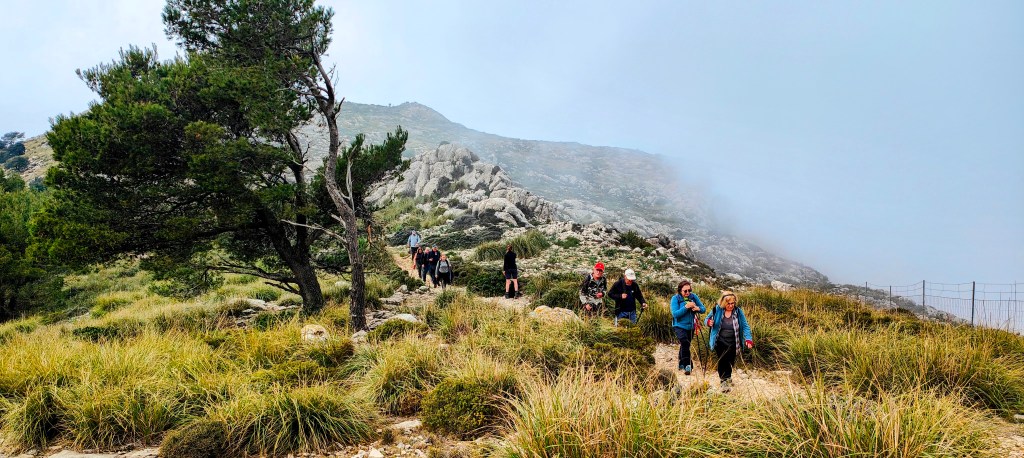 Grupo de personas caminando por un sendero montañoso, rodeado de hierba y rocas, con un árbol a la izquierda y niebla en el fondo.