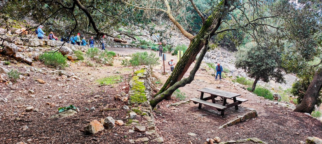 Sendero natural con personas caminando y mesa de picnic rodeada de árboles y rocas.
