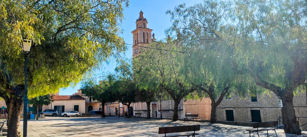 Plaza con árboles y un edificio histórico, con una torre y una iglesia al fondo bajo un cielo soleado.