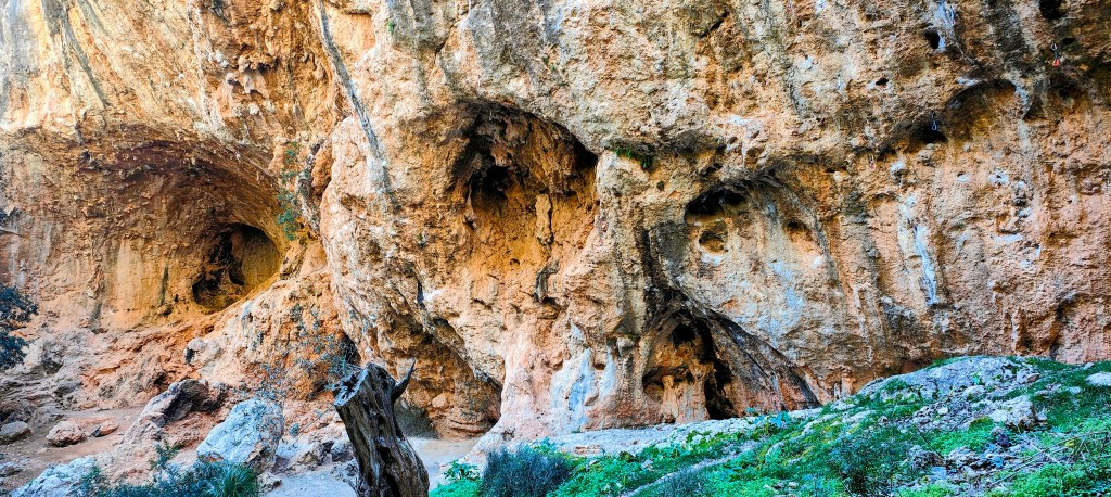 Formaciones rocosas en una cueva con agujeros naturales y vegetación en el suelo.