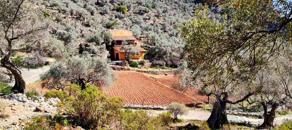 Vista de una casa en un paisaje montañoso con olivares y campos cultivados.