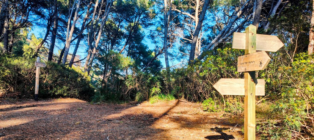 Señales de dirección en un sendero forestal, mostrando rutas hacia diferentes destinos entre árboles y vegetación.