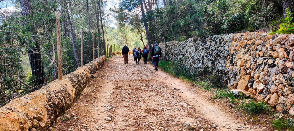 Grupo de personas caminando por un sendero rural rodeado de árboles y una pared de piedra.