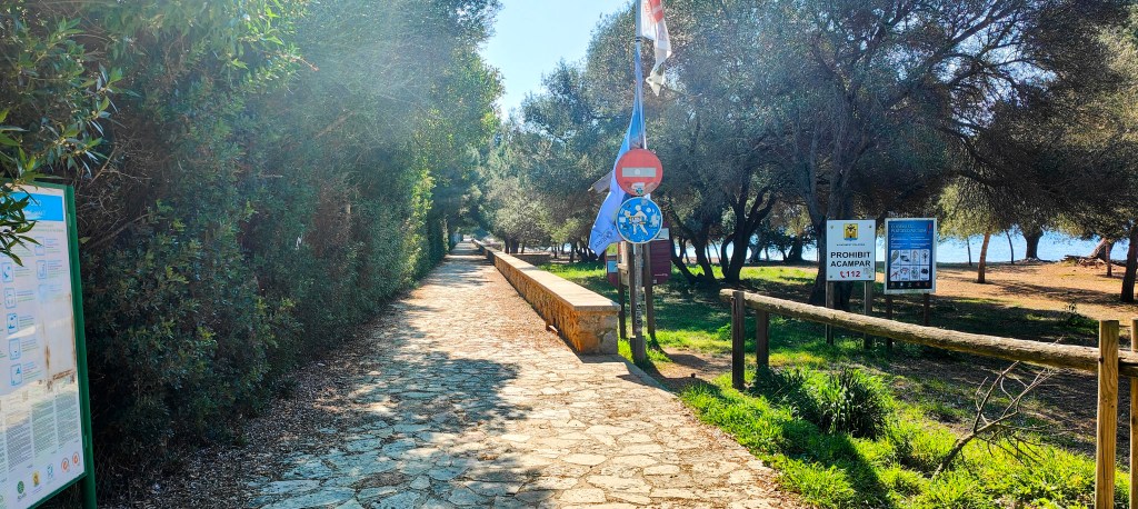 Sendero rodeado de árboles con señales de tráfico y acceso a la playa.