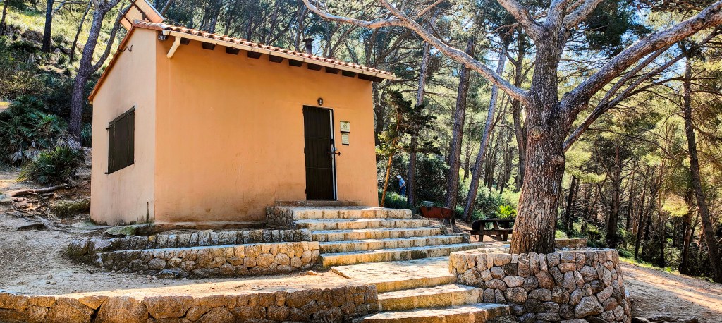 Casa pequeña de color naranja situada en un área boscosa, con escaleras de piedra y rodeada de árboles.