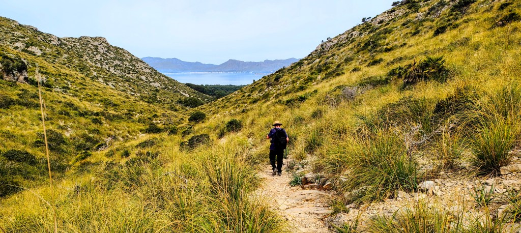 SES FONTANELLES Y CAMPAMENTO DE LA&nbsp;VICTÒRIA