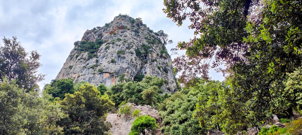 ES RUTLO DES MASSANELLA desde Mancor de la Vall
